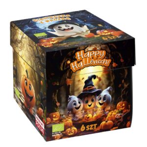CIASTECZKA Z WRÓŻBĄ NA HALLOWEEN BIO (6 szt.) 36 g - D&D FUN COOKIES (PRODUKT SEZONOWY)